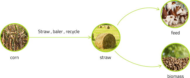 图片名(míng)称 图片名(míng)称