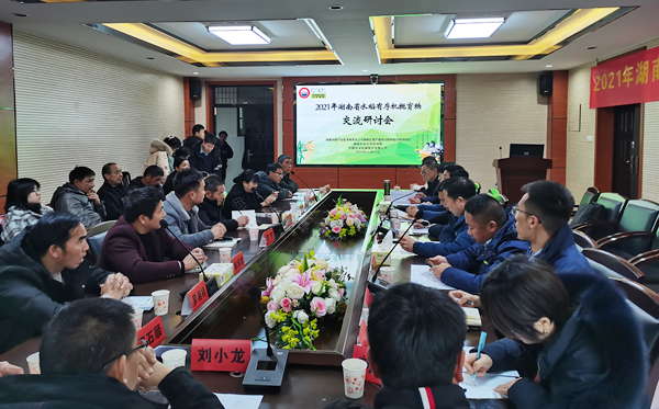 水稻有(yǒu)序机抛秧 校企联动助推广
