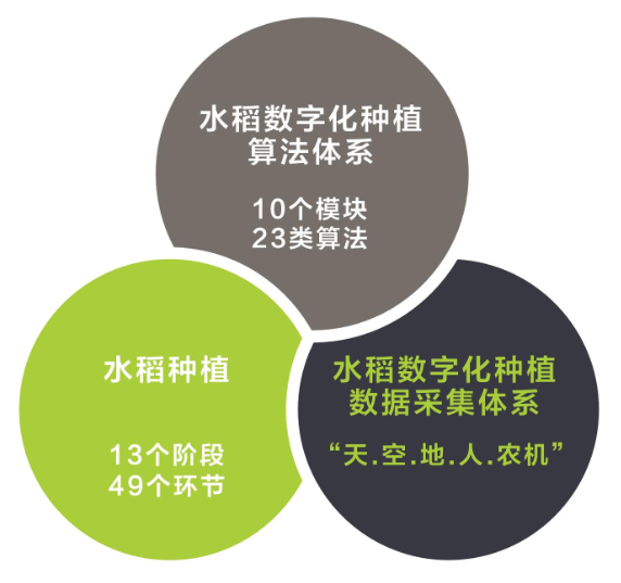 技(jì )术體(tǐ)系 技(jì )术體(tǐ)系