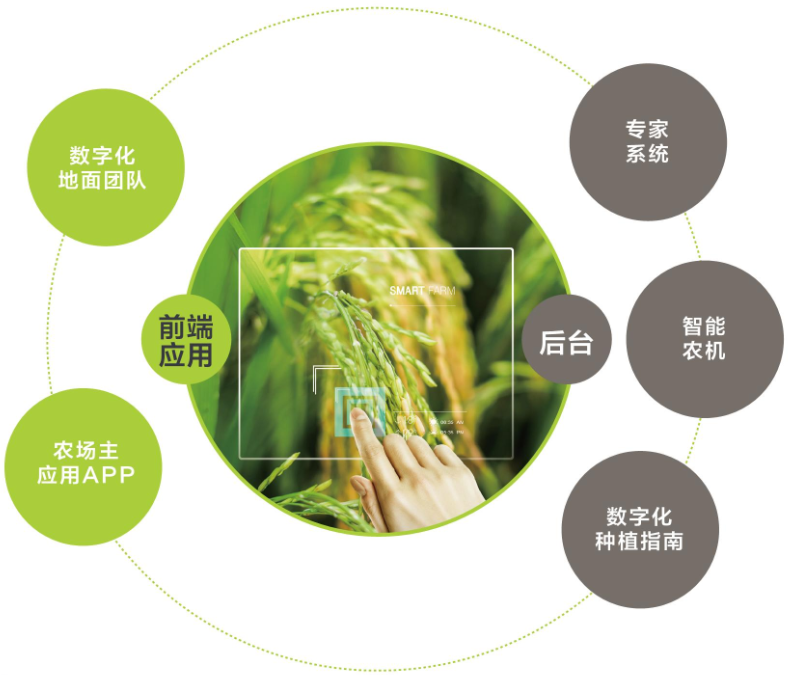 技(jì )术體(tǐ)系 技(jì )术體(tǐ)系